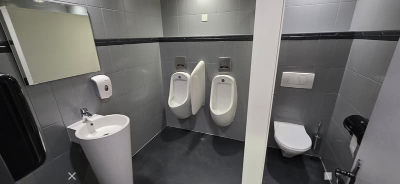 Men's restroom with three urinals, a sink, a toilet, a tissue dispenser, and a soap dispenser