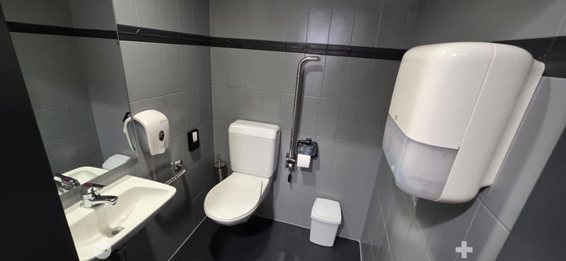 gray tiles, white sink, toilet, towel dispenser, trash can