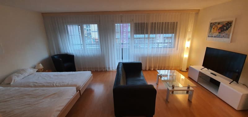 double bed, sofa, desk, TV, chair, lamps, picture