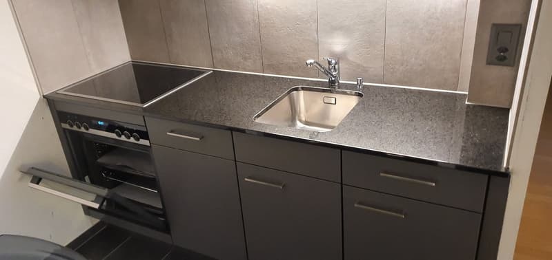 kitchen, induction cooktop, stainless steel sink, open oven, drawers, dishwasher