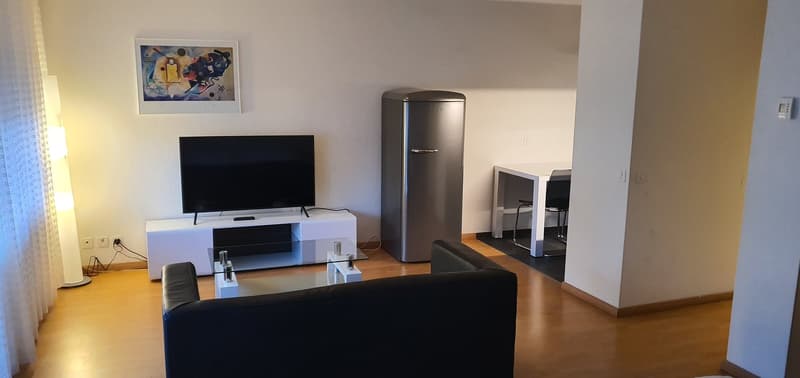 Wohnung mit Möbeln, 1 Zimmer im Herzen von Biel (1)