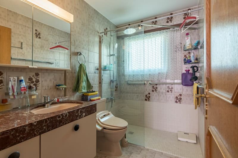 Spacious, detached single-family house with apartment (9)