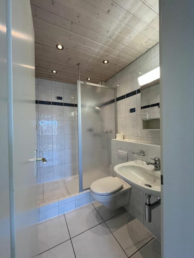 Appartement lumineux 3.5 pièces avec balcon (6)