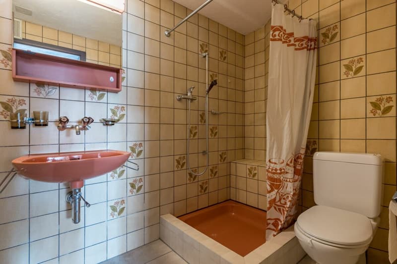 Maison unifamiliale spacieuse et indépendante avec appartement (14)