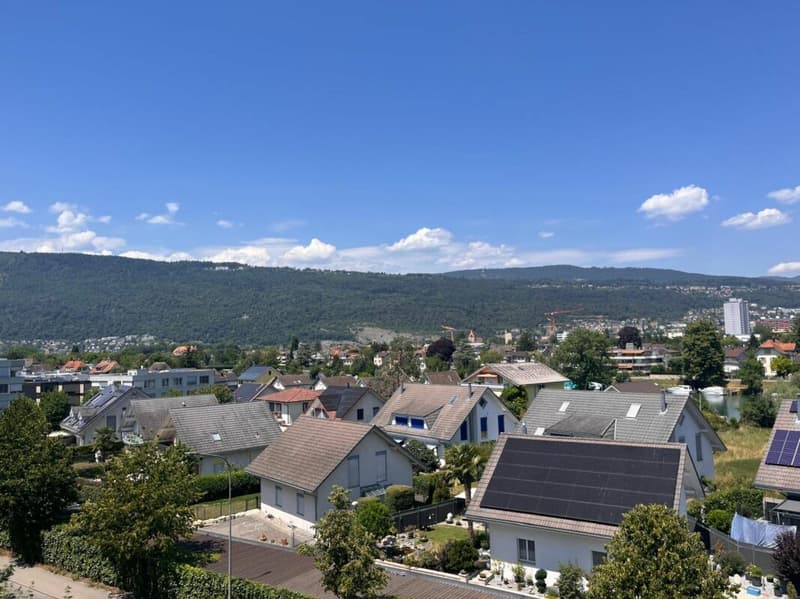 tolle 3,5-Zi.-Attikawohnung mit Rundum-Aussicht (8)