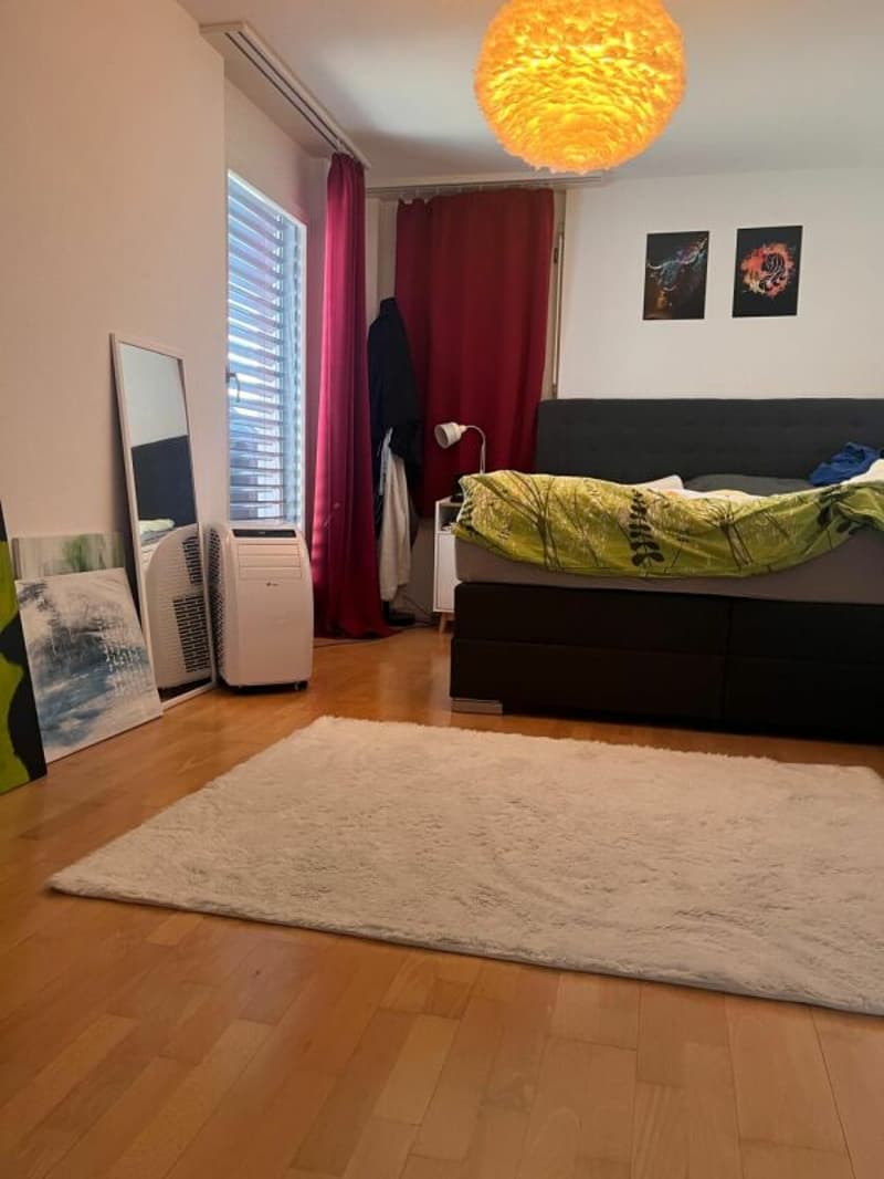 tolle 3,5-Zi.-Attikawohnung mit Rundum-Aussicht (3)