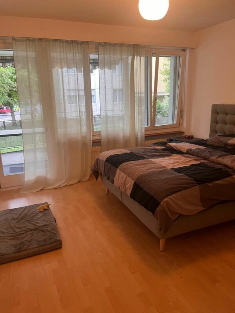 Appartamento luminoso, accogliente 3.5 locali con ampio balcone (3)