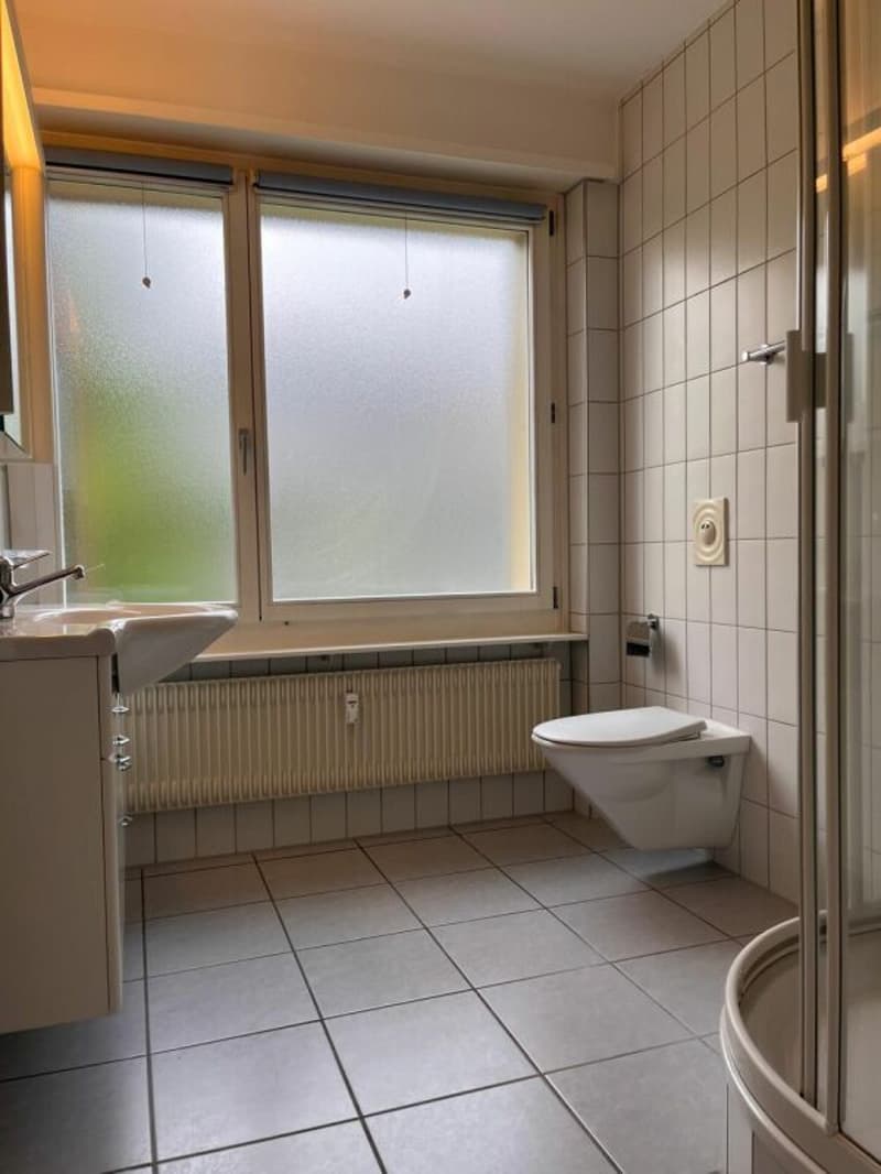 Appartamento luminoso, accogliente 3.5 locali con ampio balcone (9)