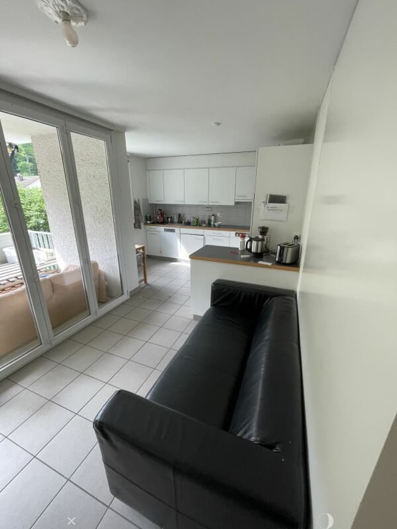 Grosse 7.5-Zimmerwohnung in grüner Oase (4)