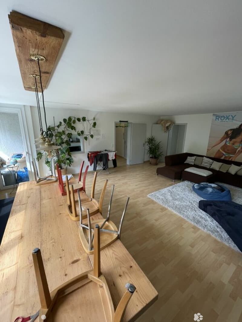 Grosse 7.5-Zimmerwohnung in grüner Oase (3)