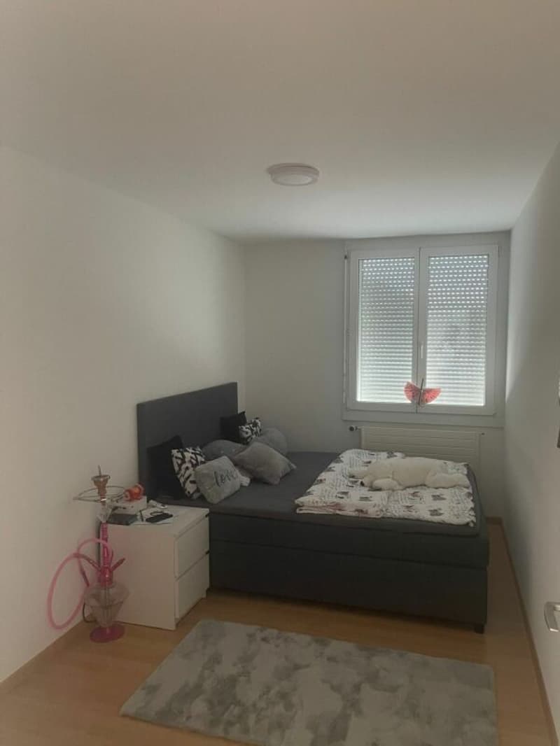 Grosse 7.5-Zimmerwohnung in grüner Oase (8)