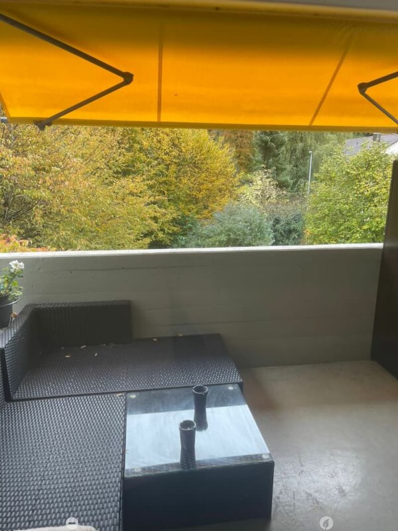 Grosse 7.5-Zimmerwohnung in grüner Oase (6)