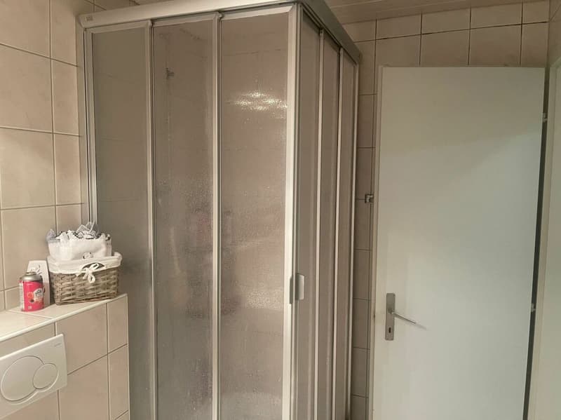 Grosse 7.5-Zimmerwohnung in grüner Oase (11)
