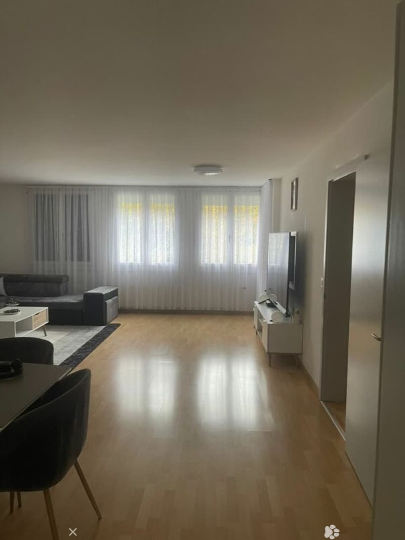 Grosse 7.5-Zimmerwohnung in grüner Oase (2)