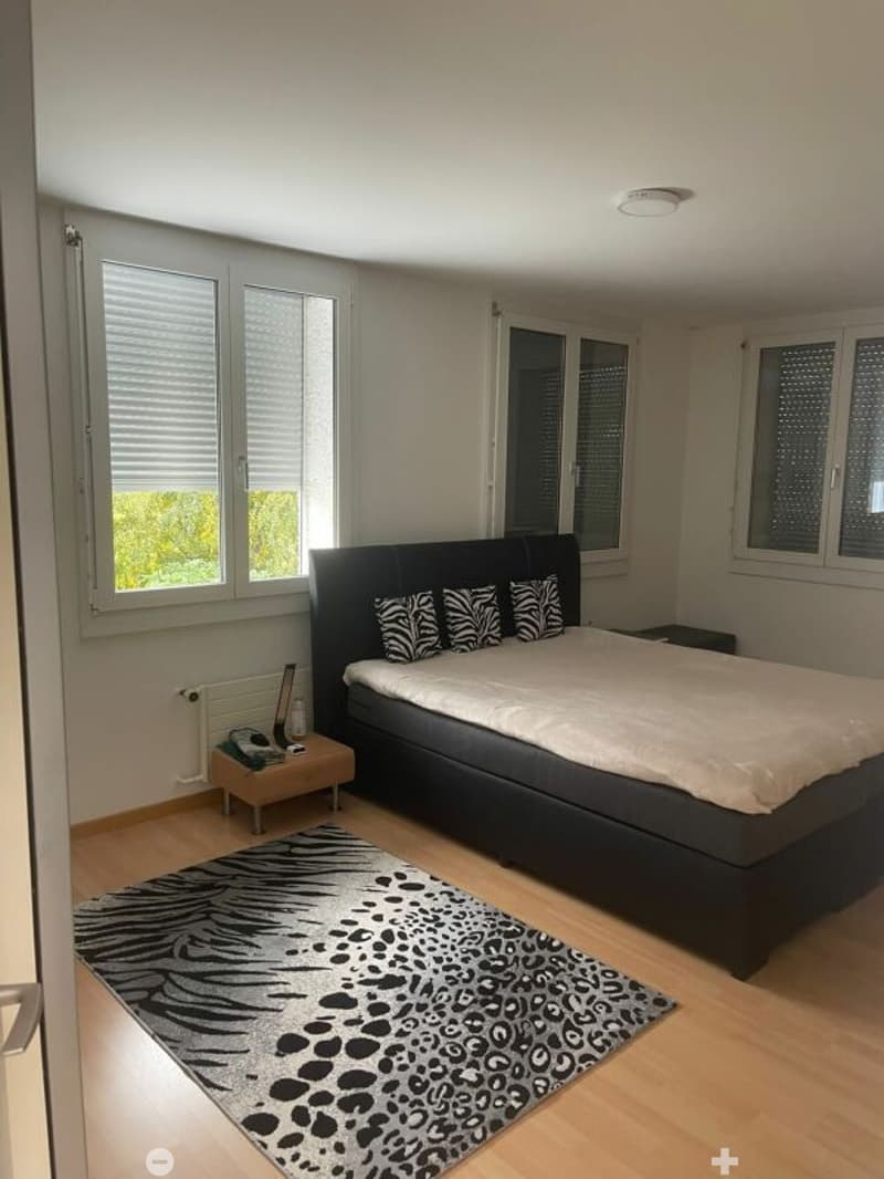 Grosse 7.5-Zimmerwohnung in grüner Oase (7)