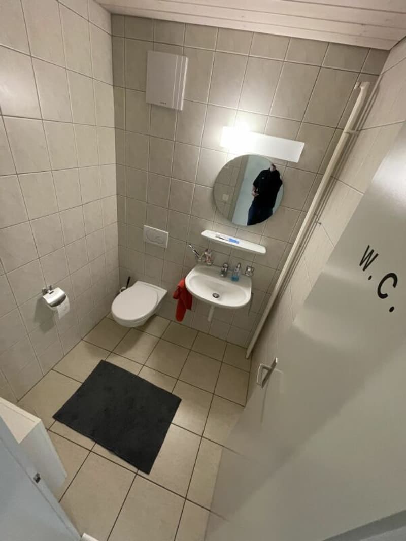 Grosse 7.5-Zimmerwohnung in grüner Oase (10)