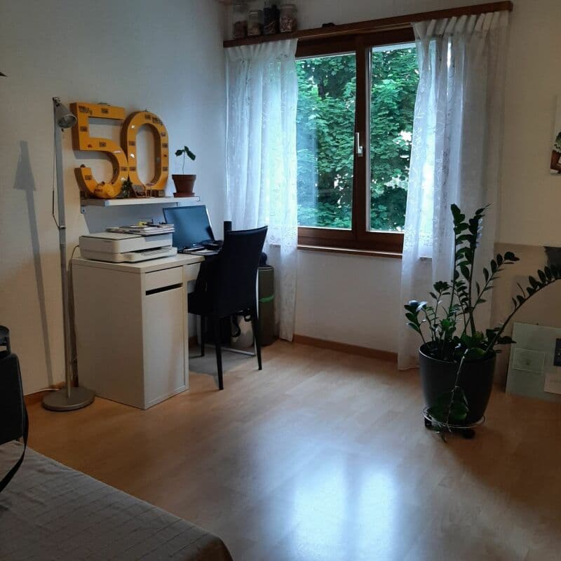 grosszügige 4.5-Zi.-Wohnung an grüner Lage (4)