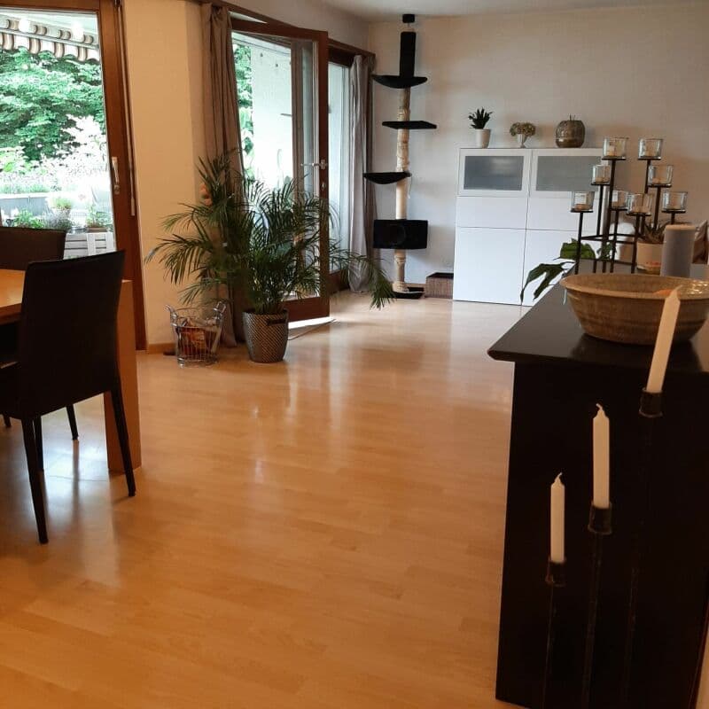 grosszügige 4.5-Zi.-Wohnung an grüner Lage (2)