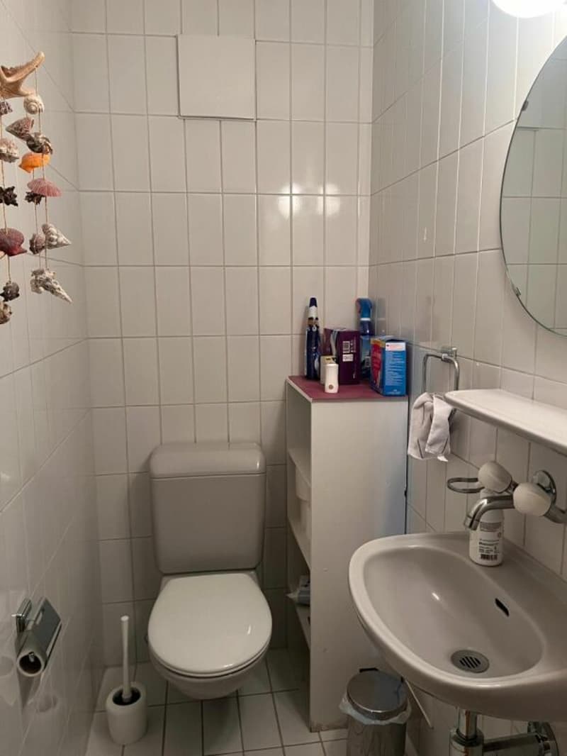 grosszügige 4.5-Zi.-Wohnung an grüner Lage (11)
