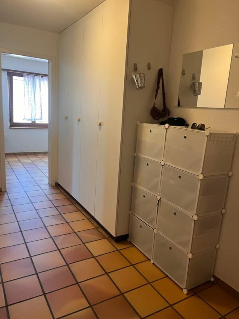grosszügige 4.5-Zi.-Wohnung an grüner Lage (7)