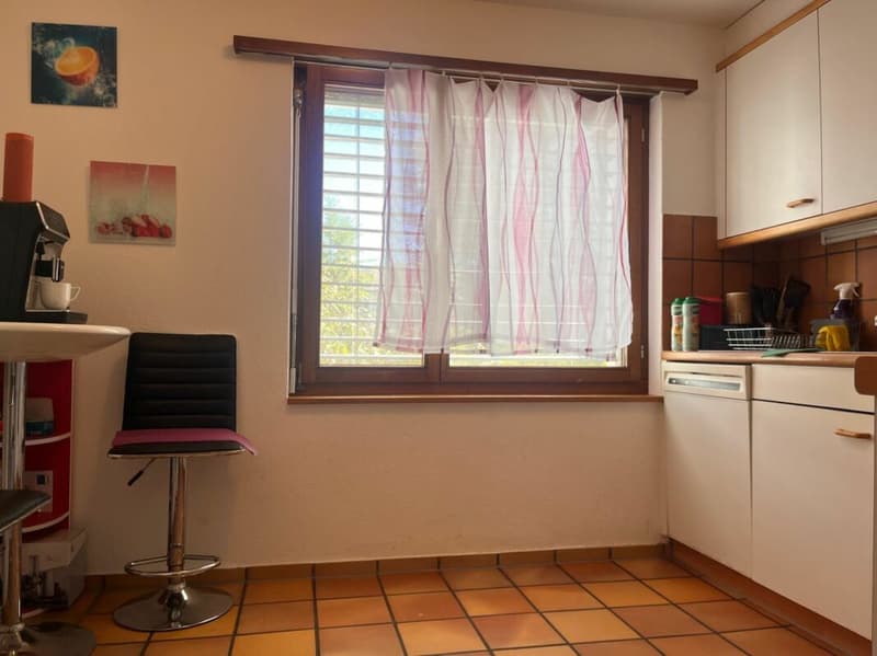 grosszügige 4.5-Zi.-Wohnung an grüner Lage (8)