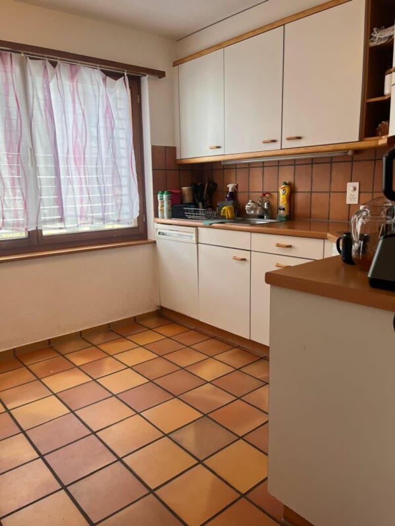 grosszügige 4.5-Zi.-Wohnung an grüner Lage (9)