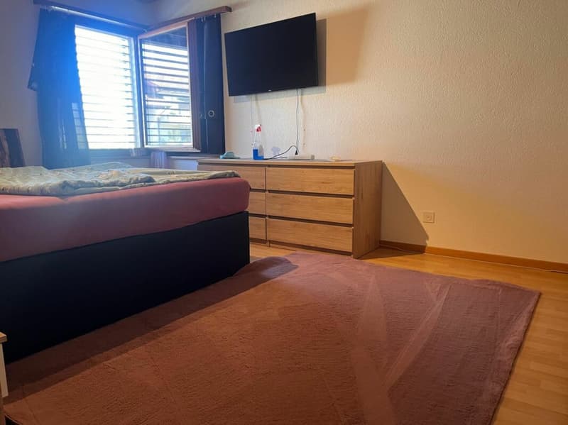 grosszügige 4.5-Zi.-Wohnung an grüner Lage (6)