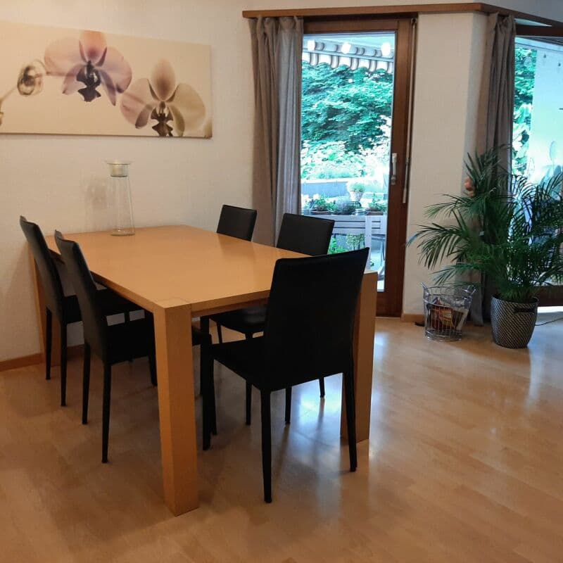 grosszügige 4.5-Zi.-Wohnung an grüner Lage (3)