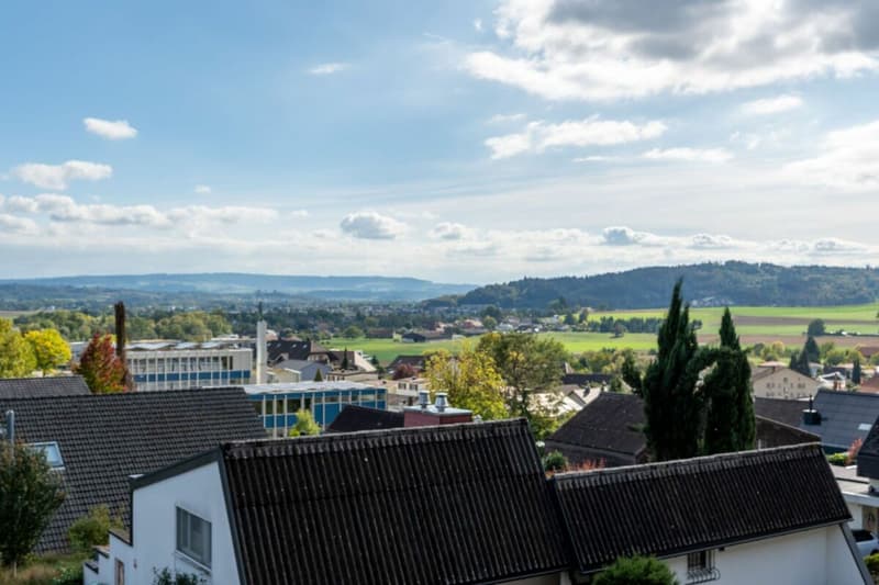 4.5 Zimmerwohnung mit Cheminée und Alpensicht (1)