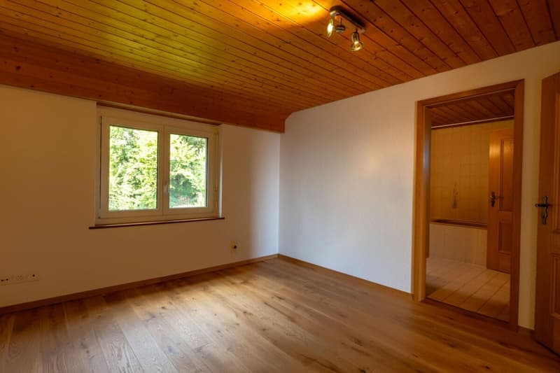 4.5 Zimmerwohnung mit Cheminée und Alpensicht (7)