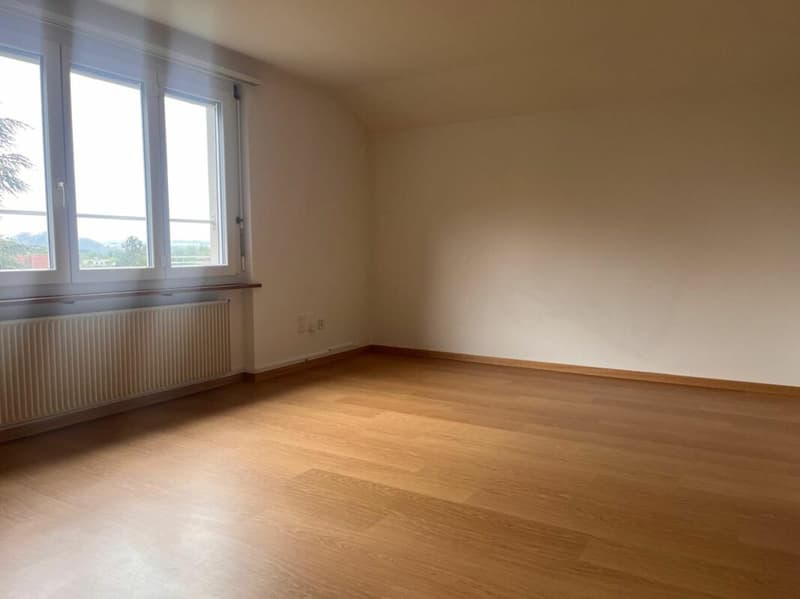 3-Zimmer-Dachwohnung in gepflegtem 3-Familienhaus (1)