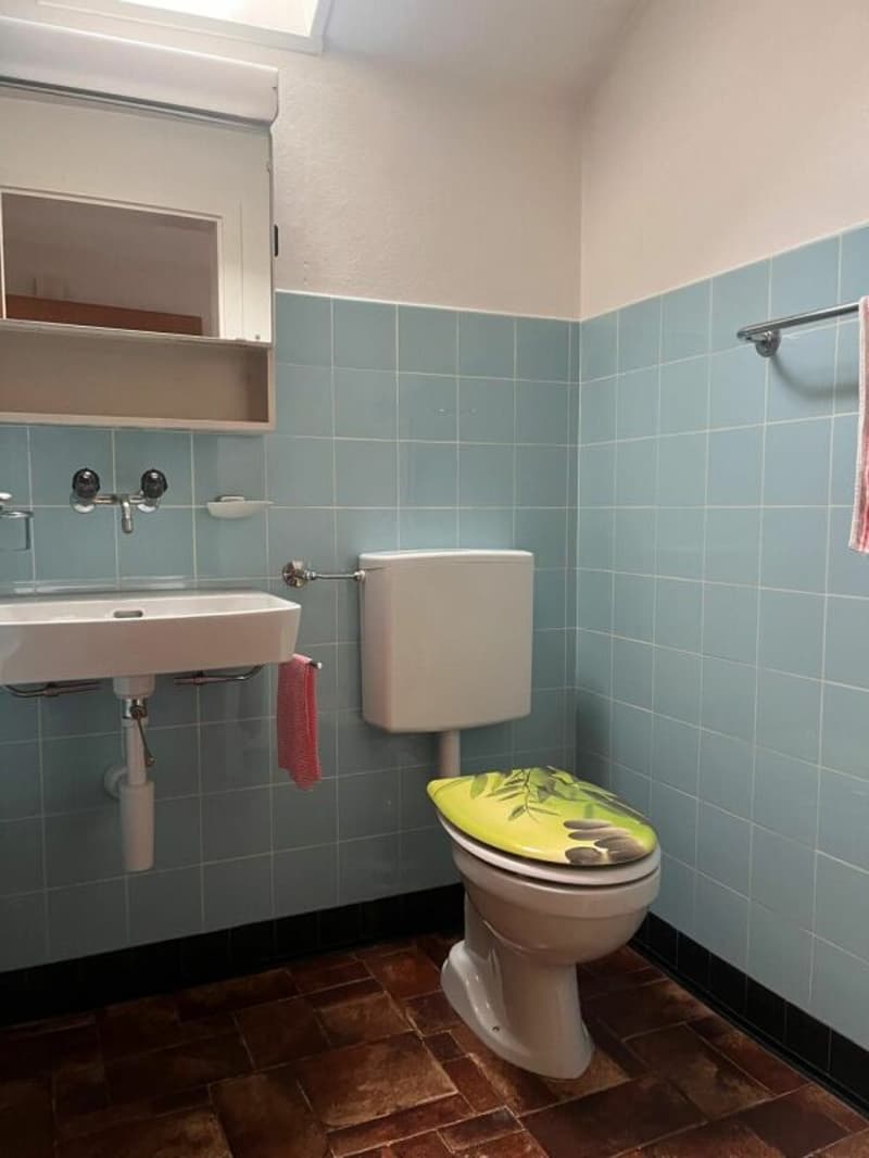 3-Zimmer-Dachwohnung in gepflegtem 3-Familienhaus (5)