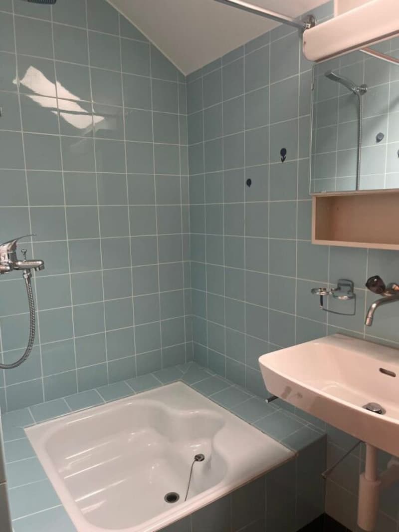 3-Zimmer-Dachwohnung in gepflegtem 3-Familienhaus (6)