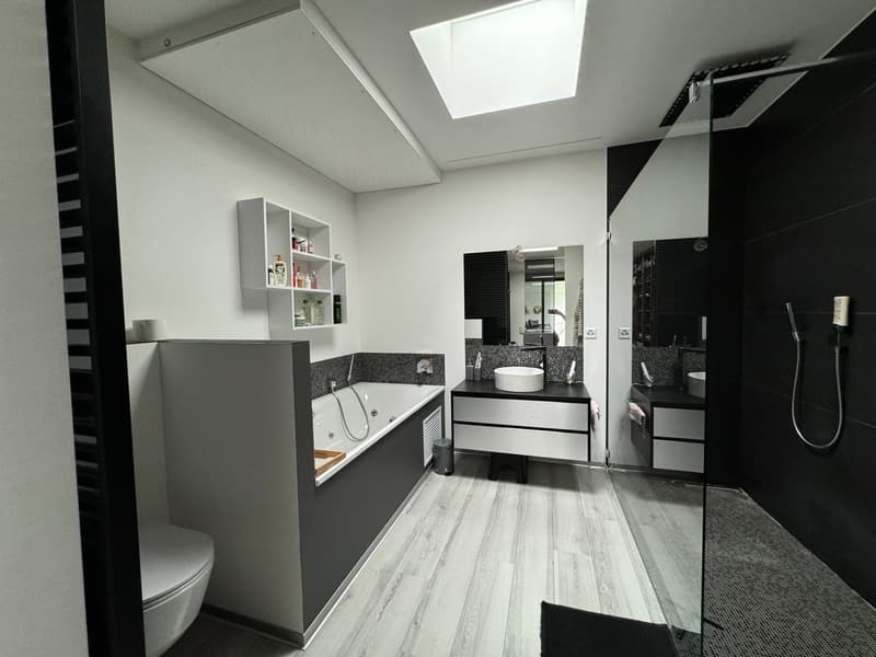 Exceptional Contemporary Property in Saxon (22)