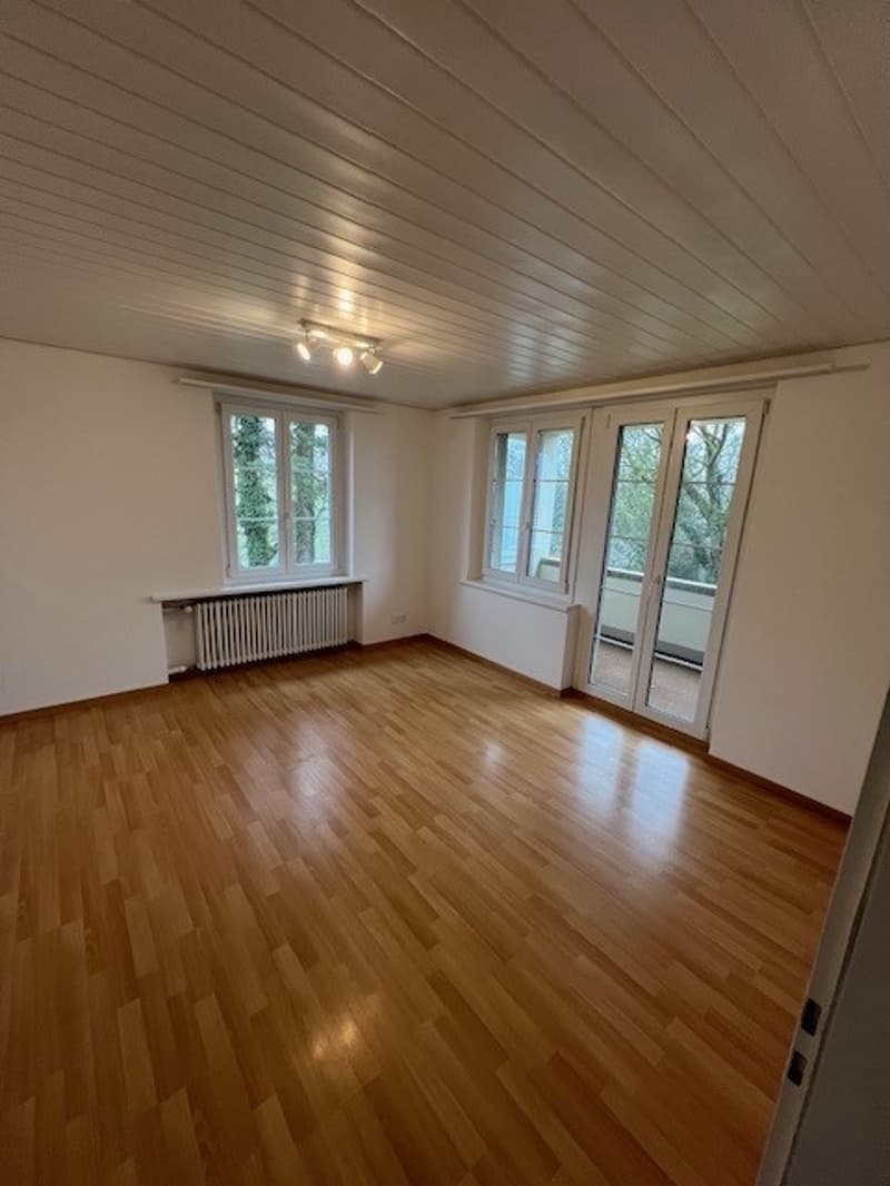 hardwood floor, 3 windows, balcony, ceiling spotlights, radiator