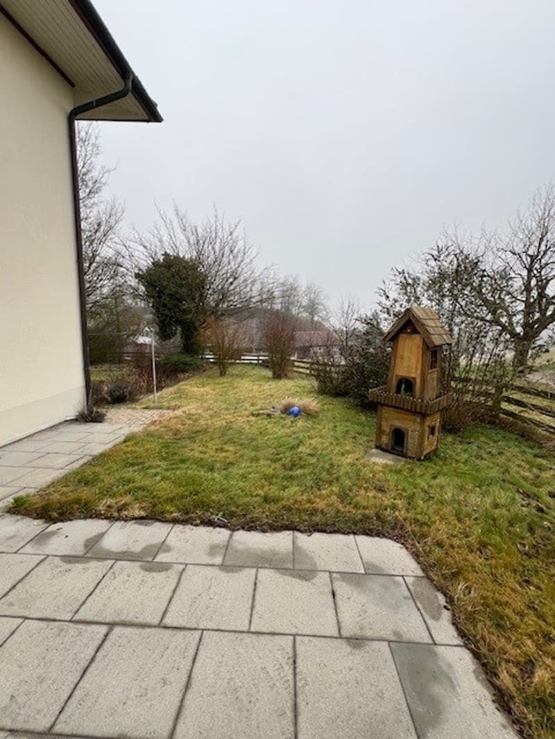 Grass yard, wooden birdhouse, wooden fence, gray tiled walkway