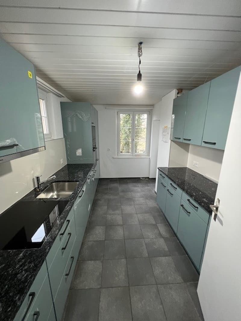 modern kitchen, light green cabinets, marble countertop, stainless steel sink, double sink, black tiles on floor