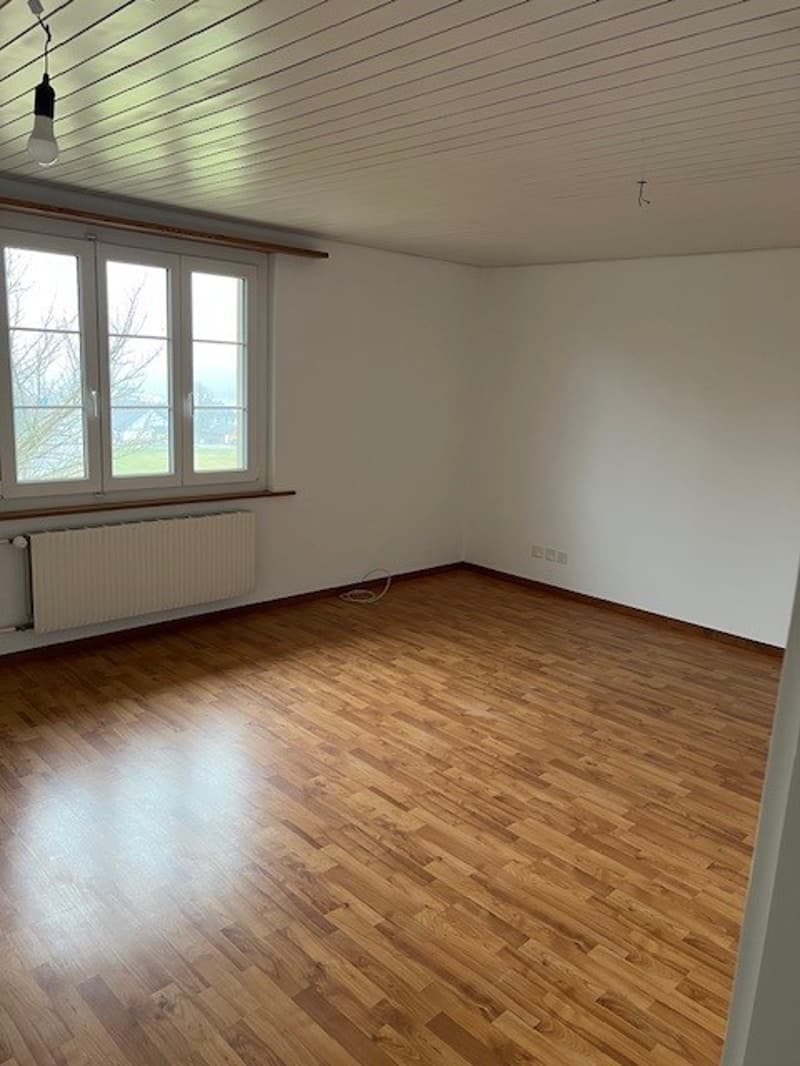 large room, hardwood floors, white walls, large windows, radiators