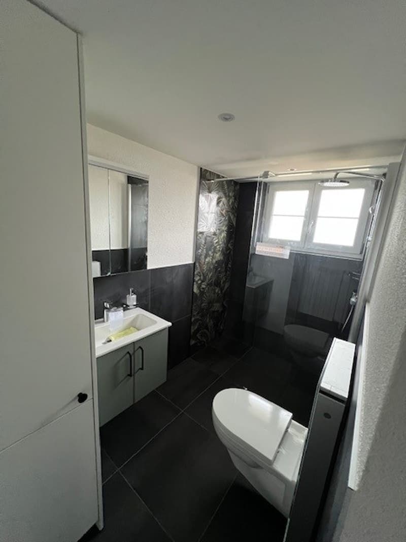 white and black tiled bathroom, toilet, shower, sink, mirror