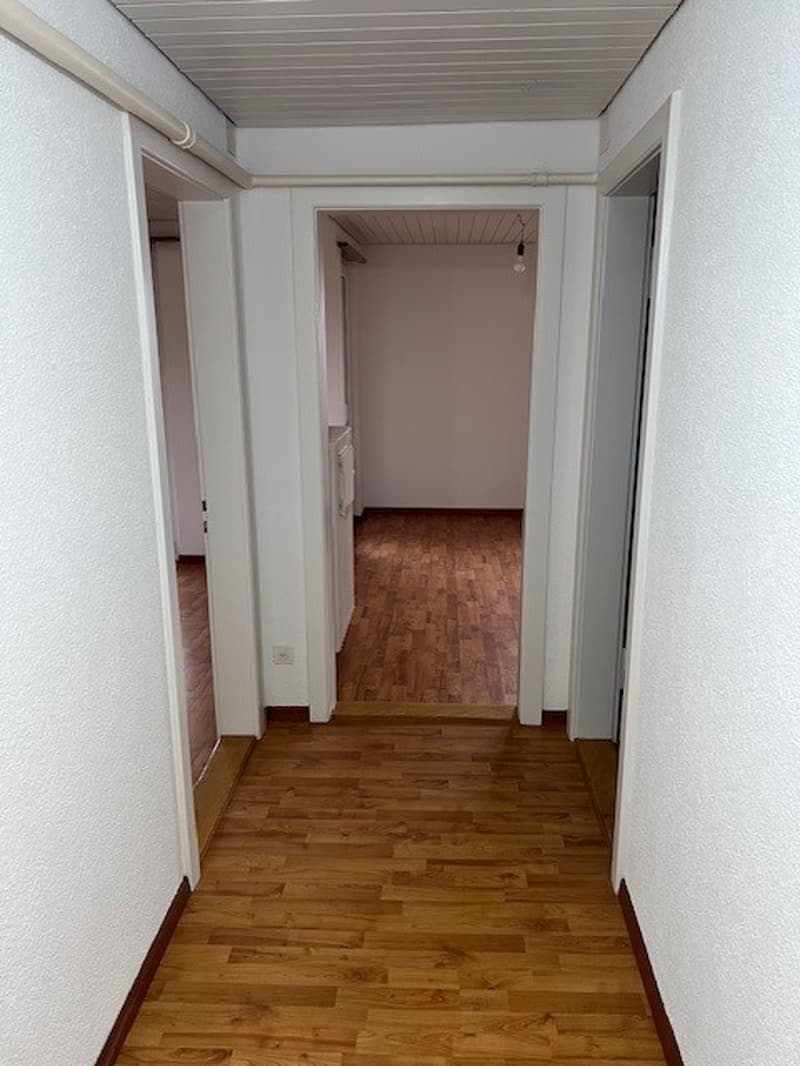 Corridor with wooden floor, white walls, doors, electrical outlet.