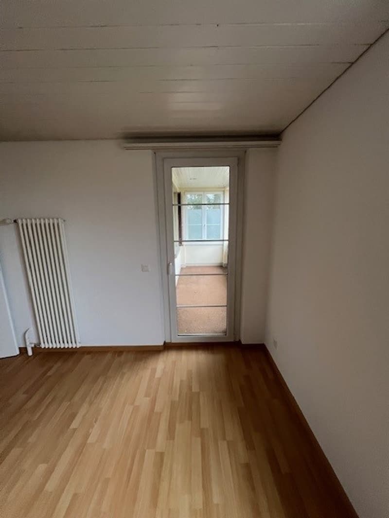 empty room, glass door, white walls, wooden floor, heater
