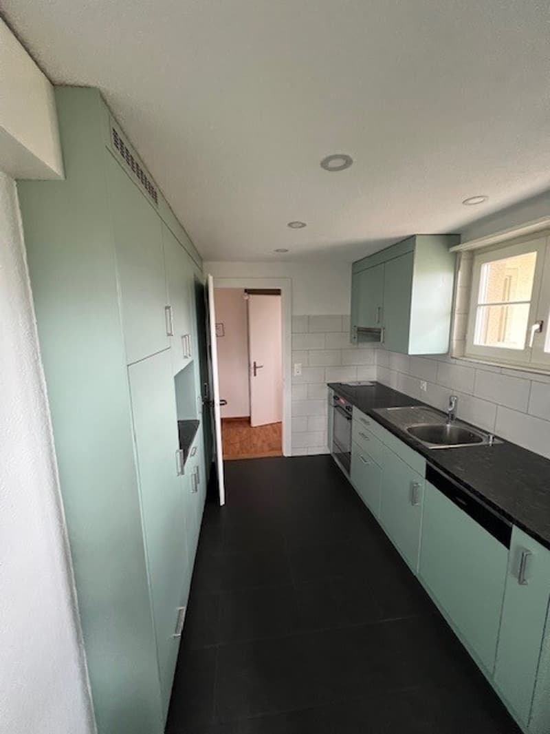Green cabinetry, black tiled floor, stainless steel appliances, open kitchen to another room, double kitchen sink with modern faucet