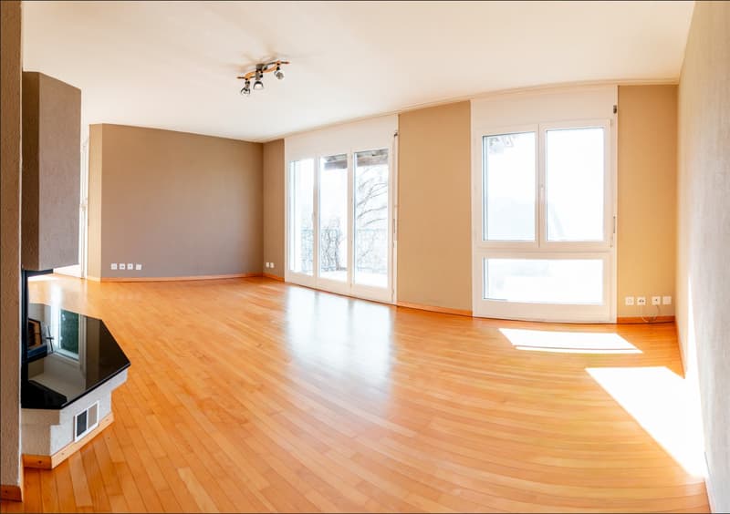 large room, hardwood floors, large windows, fireplace, ceiling lights