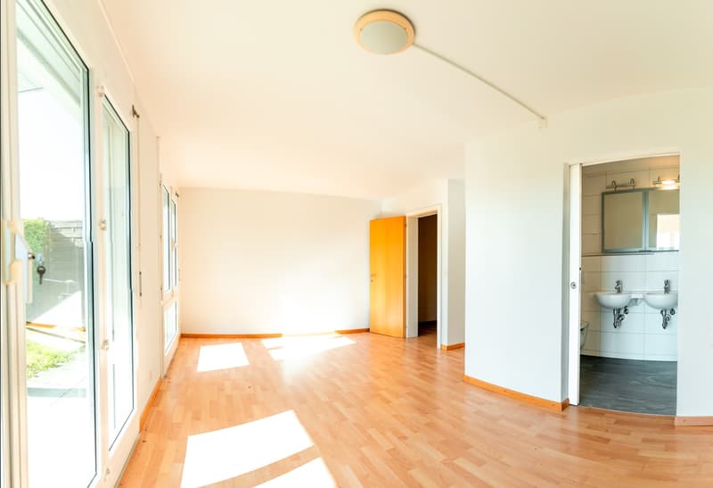 empty room, wooden floor, white walls, glass doors, bathroom with sinks