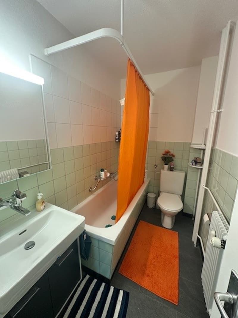 Gemütliche 3- Zimmerwohnung an ruhiger Lage (6)