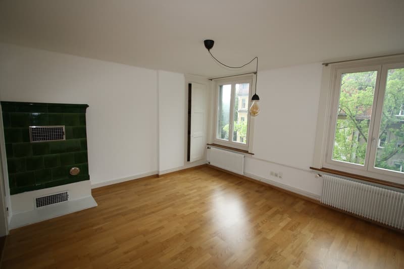 Gemütliche 2-Zimmer-Altbauwohnung im Breitsch (2)