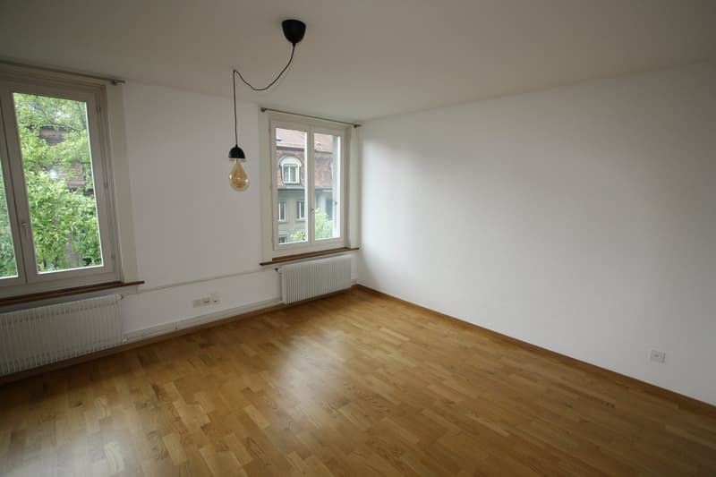 Gemütliche 2-Zimmer-Altbauwohnung im Breitsch (1)