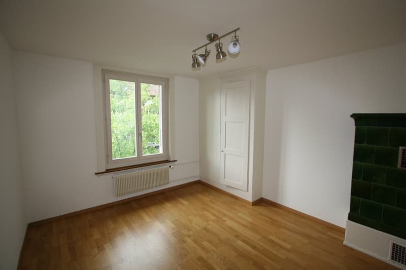 Gemütliche 2-Zimmer-Altbauwohnung im Breitsch (3)