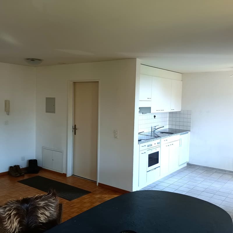Gemütliche 1.5-Zimmer-Wohnung mit Balkon in Meikirch (3)