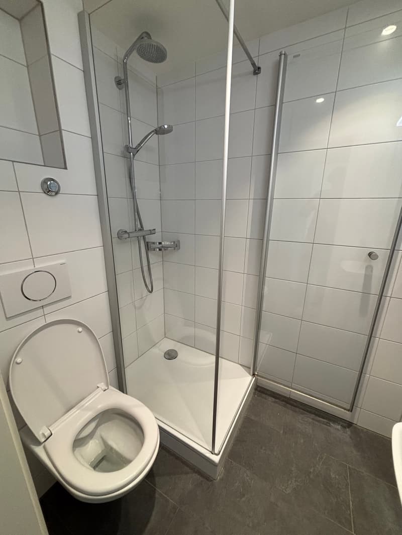 Charmante 3.5-Zimmerwohnung mit Balkon in Ostermundigen – Ab September verfügbar. (13)